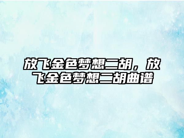 放飛金色夢想二胡，放飛金色夢想二胡曲譜