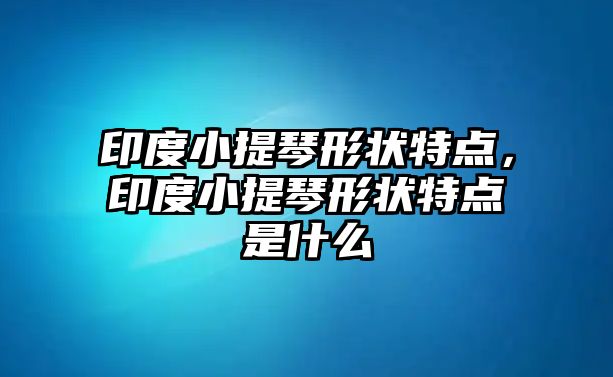 印度小提琴形狀特點，印度小提琴形狀特點是什么