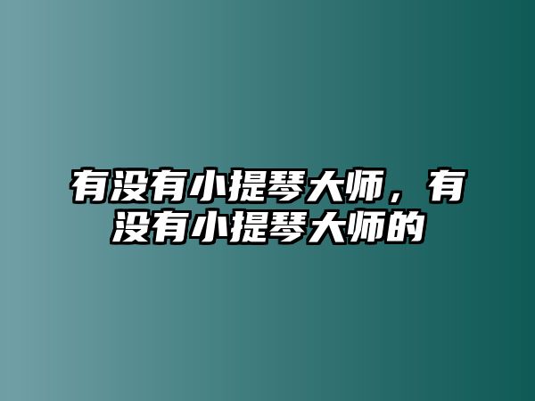 有沒有小提琴大師，有沒有小提琴大師的