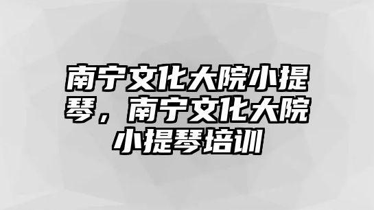 南寧文化大院小提琴，南寧文化大院小提琴培訓