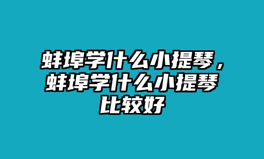 蚌埠學什么小提琴，蚌埠學什么小提琴比較好