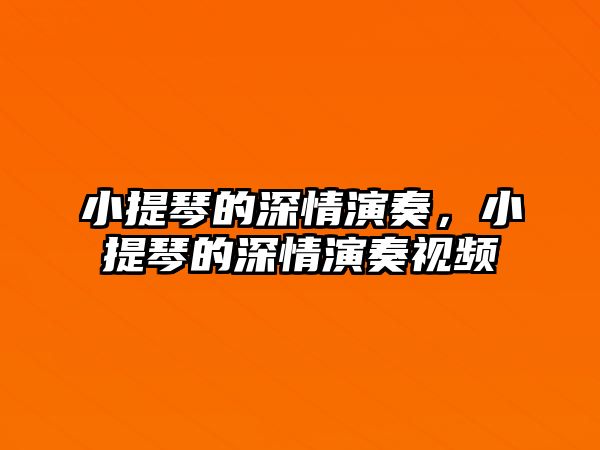 小提琴的深情演奏，小提琴的深情演奏視頻