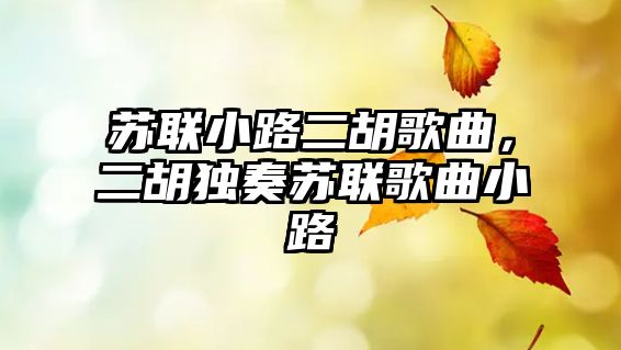 蘇聯小路二胡歌曲，二胡獨奏蘇聯歌曲小路