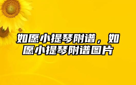 如愿小提琴附譜，如愿小提琴附譜圖片