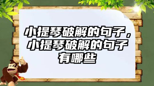 小提琴破解的句子，小提琴破解的句子有哪些