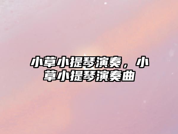 小草小提琴演奏，小草小提琴演奏曲