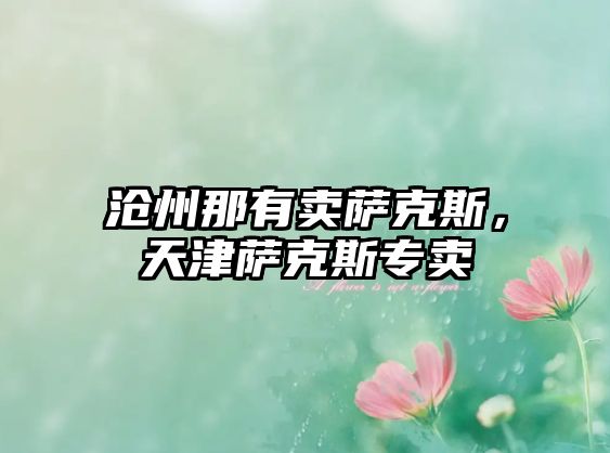 滄州那有賣(mài)薩克斯，天津薩克斯專(zhuān)賣(mài)