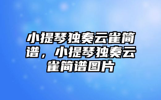 小提琴獨奏云雀簡譜，小提琴獨奏云雀簡譜圖片