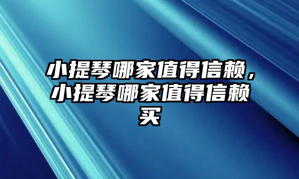 小提琴哪家值得信賴，小提琴哪家值得信賴買