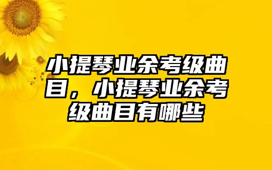 小提琴業余考級曲目，小提琴業余考級曲目有哪些