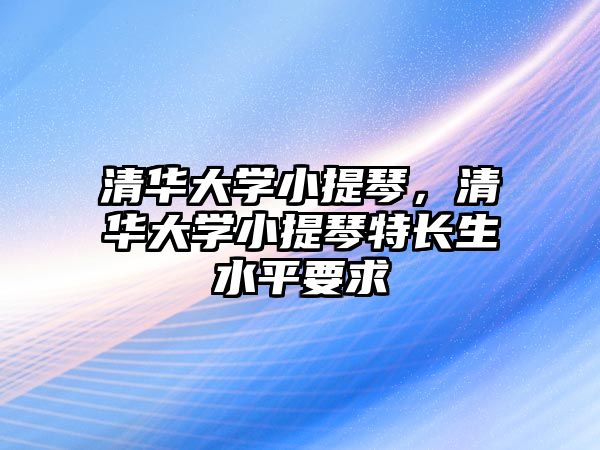 清華大學小提琴，清華大學小提琴特長生水平要求