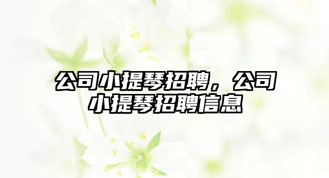 公司小提琴招聘，公司小提琴招聘信息