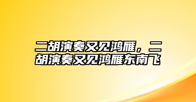 二胡演奏又見鴻雁，二胡演奏又見鴻雁東南飛