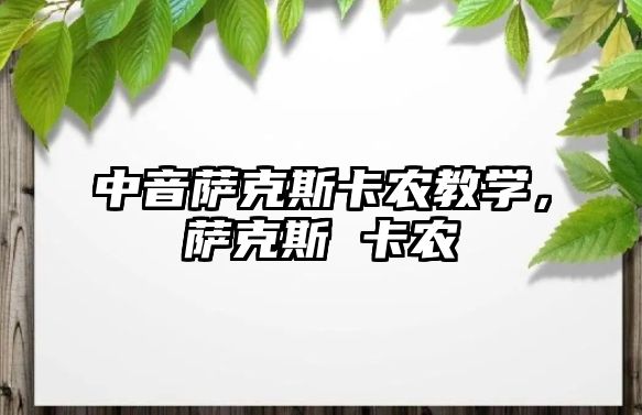 中音薩克斯卡農教學，薩克斯 卡農