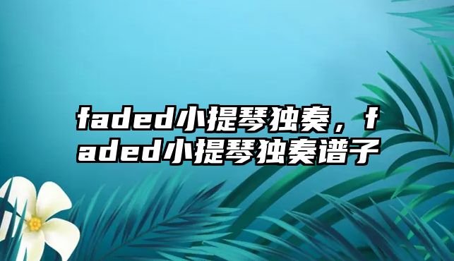 faded小提琴獨(dú)奏，faded小提琴獨(dú)奏譜子