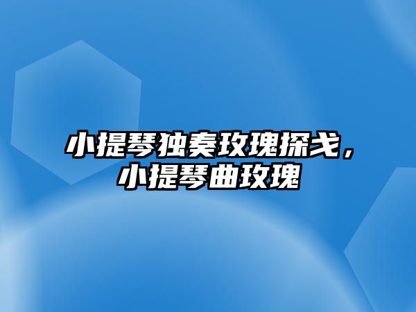 小提琴獨(dú)奏玫瑰探戈，小提琴曲玫瑰