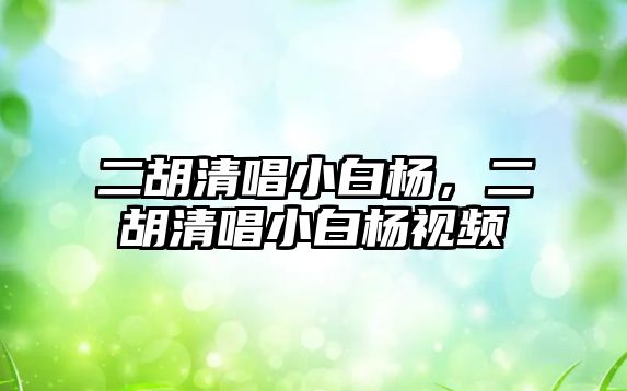 二胡清唱小白楊，二胡清唱小白楊視頻