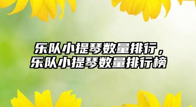 樂隊小提琴數量排行，樂隊小提琴數量排行榜