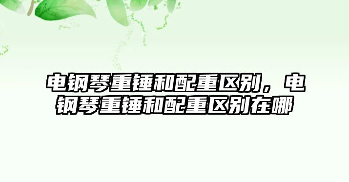 電鋼琴重錘和配重區別，電鋼琴重錘和配重區別在哪