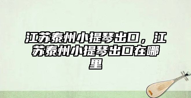 江蘇泰州小提琴出口，江蘇泰州小提琴出口在哪里