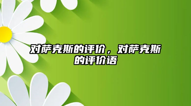 對薩克斯的評價，對薩克斯的評價語