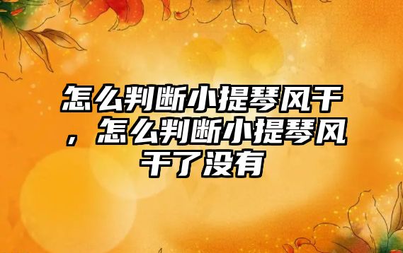 怎么判斷小提琴風干，怎么判斷小提琴風干了沒有