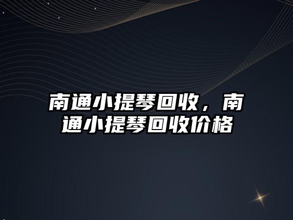 南通小提琴回收，南通小提琴回收價格