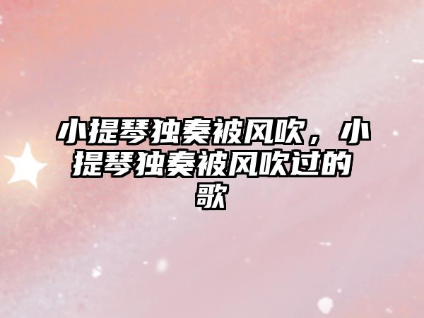 小提琴獨奏被風吹，小提琴獨奏被風吹過的歌