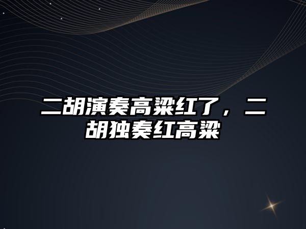 二胡演奏高粱紅了，二胡獨奏紅高粱