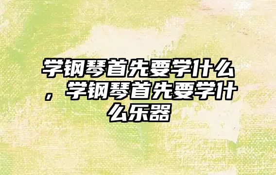 學鋼琴首先要學什么，學鋼琴首先要學什么樂器