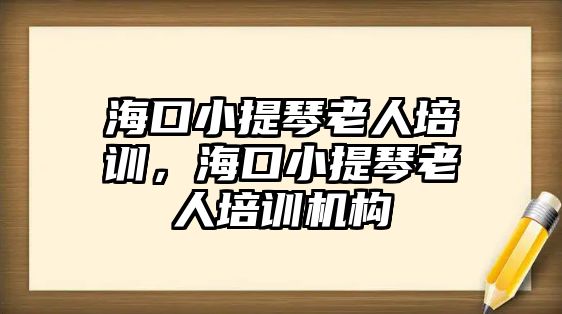 海口小提琴老人培訓(xùn)，海口小提琴老人培訓(xùn)機構(gòu)