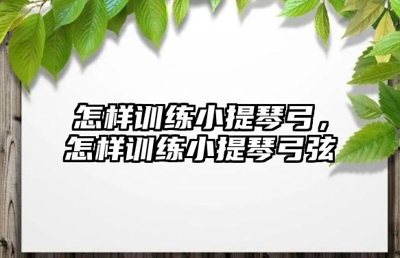 怎樣訓練小提琴弓，怎樣訓練小提琴弓弦