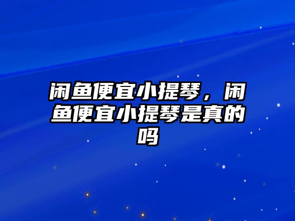 閑魚便宜小提琴，閑魚便宜小提琴是真的嗎