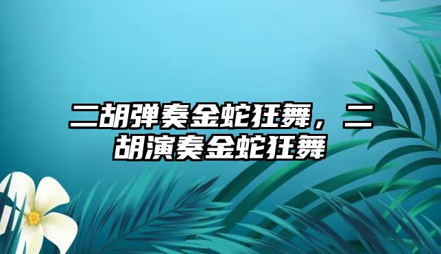 二胡彈奏金蛇狂舞，二胡演奏金蛇狂舞