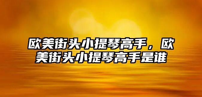 歐美街頭小提琴高手，歐美街頭小提琴高手是誰