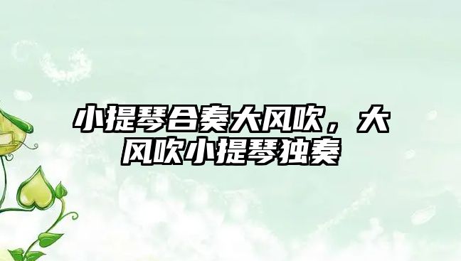 小提琴合奏大風吹，大風吹小提琴獨奏