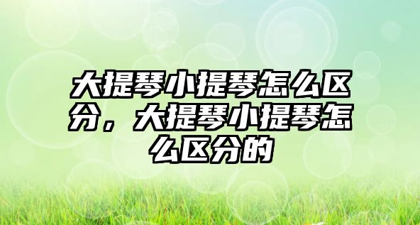 大提琴小提琴怎么區分，大提琴小提琴怎么區分的