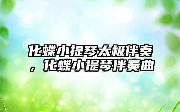 化蝶小提琴太極伴奏，化蝶小提琴伴奏曲