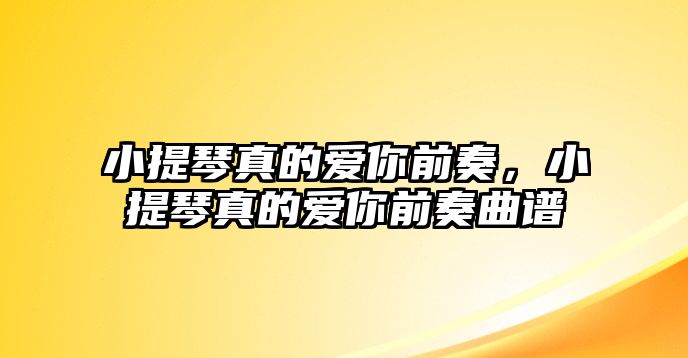 小提琴真的愛你前奏，小提琴真的愛你前奏曲譜