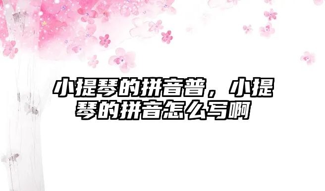 小提琴的拼音普，小提琴的拼音怎么寫啊