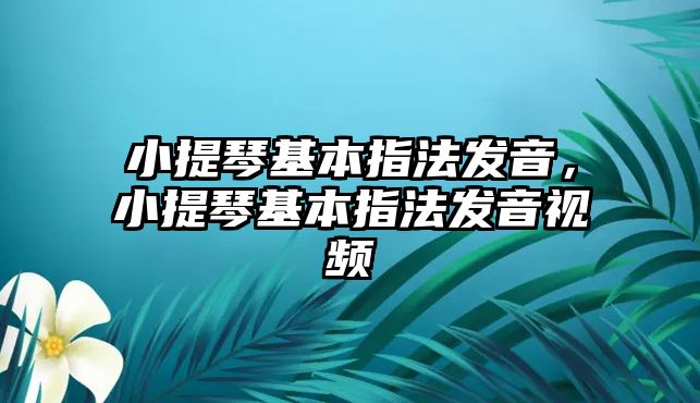 小提琴基本指法發音，小提琴基本指法發音視頻