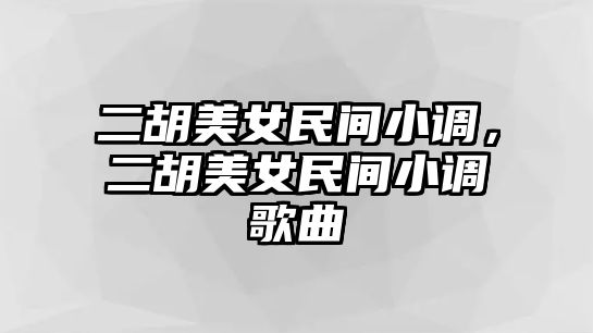 二胡美女民間小調，二胡美女民間小調歌曲