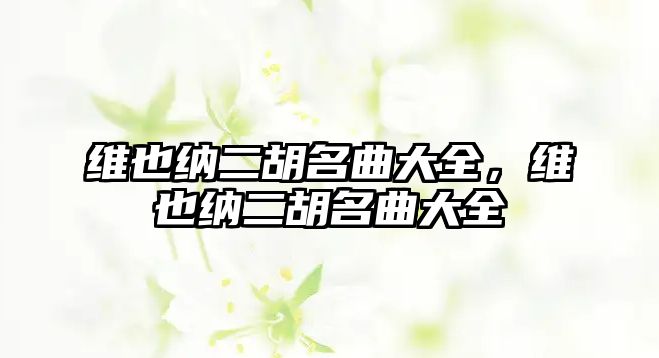 維也納二胡名曲大全，維也納二胡名曲大全