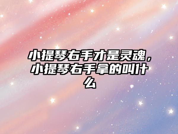 小提琴右手才是靈魂，小提琴右手拿的叫什么