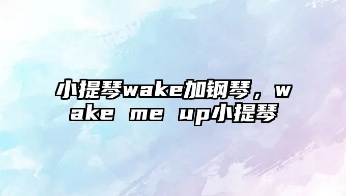 小提琴wake加鋼琴，wake me up小提琴