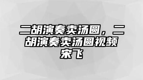 二胡演奏賣湯圓，二胡演奏賣湯圓視頻宋飛