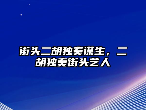 街頭二胡獨奏謀生，二胡獨奏街頭藝人