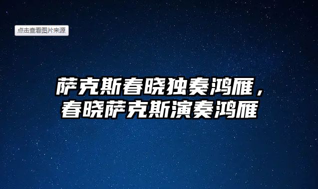 薩克斯春曉獨奏鴻雁，春曉薩克斯演奏鴻雁