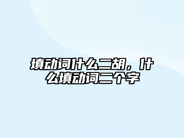 填動詞什么二胡，什么填動詞二個字