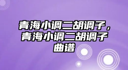 青海小調(diào)二胡調(diào)子，青海小調(diào)二胡調(diào)子曲譜